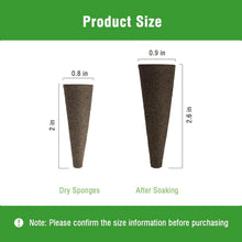 Load image into Gallery viewer, Biochar Cotton Hydroponic Seed Pods - 250 Pack for Effortless Germination