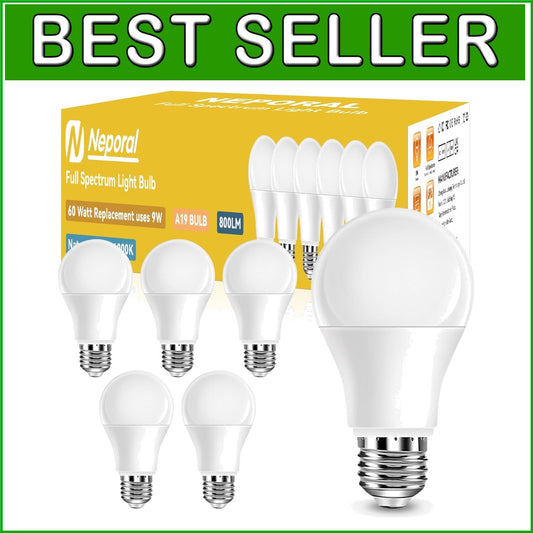 6000K Bright White LED Light Bulbs - 9W Energy Efficient A19, E26 Base, 6 Pack