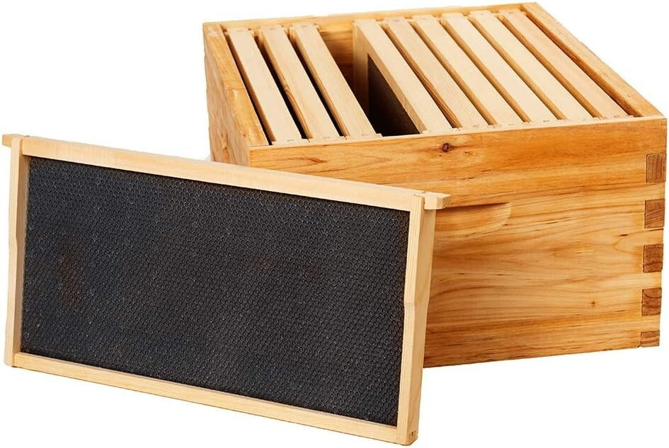 High-Quality Fir Wood Langstroth Deep Box with 10 Frames & Honey Bee Foundations