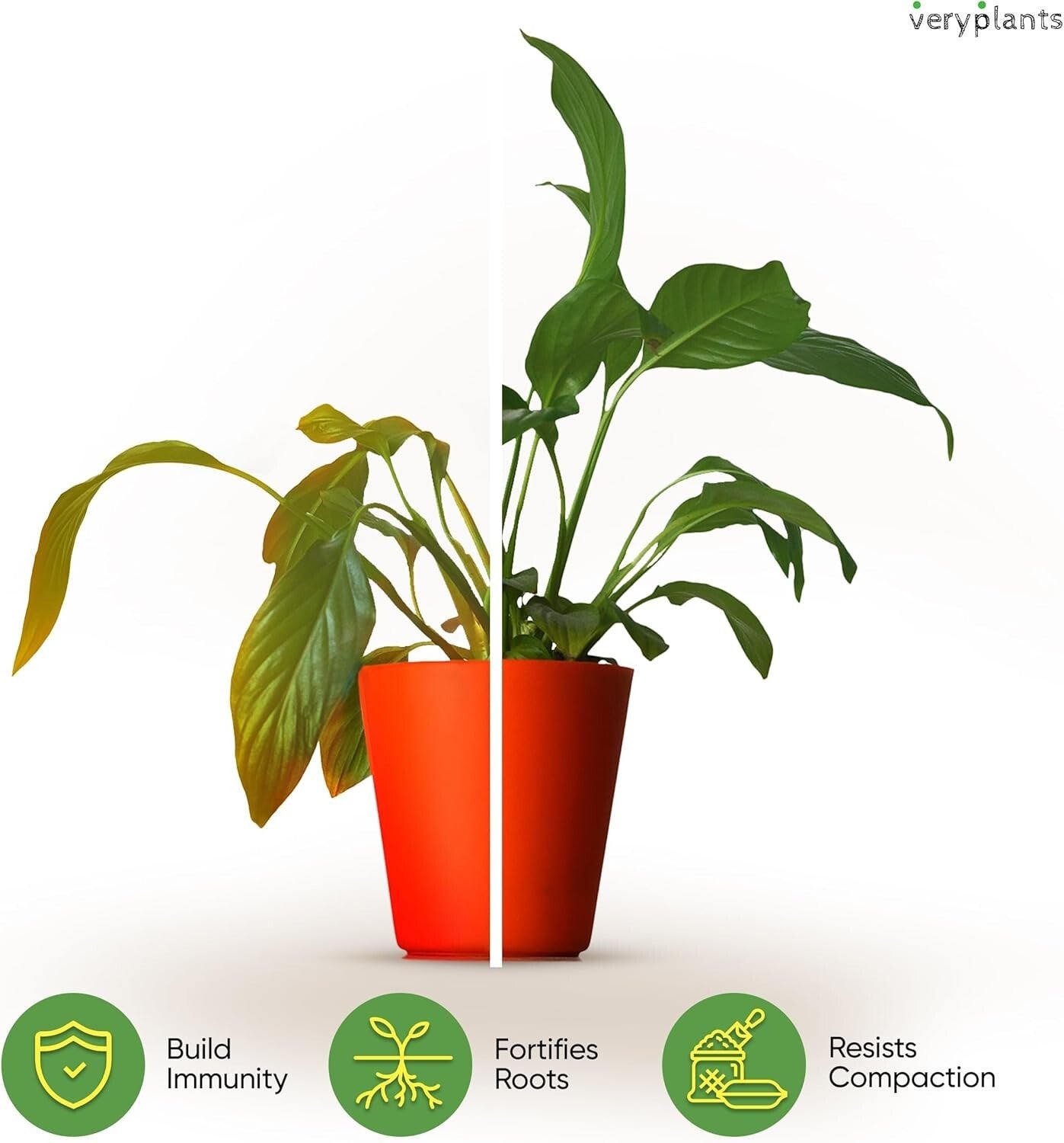 Molly's Aroid Mix: Premium Soilless Potting Mix for Indoor Plants, 10 Dry Quarts