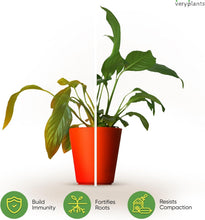 Load image into Gallery viewer, Molly's Aroid Mix: Premium Soilless Potting Mix for Indoor Plants, 10 Dry Quarts