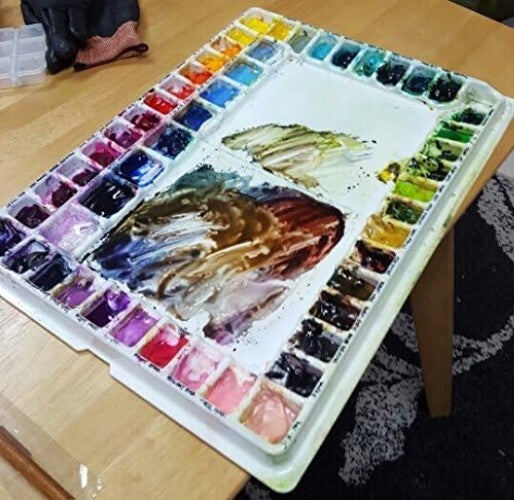 Aqua-Pro 51-Well Artist Palette with Lid & Zipper Bag - Spill-Resistant Design