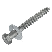 Load image into Gallery viewer, Heavy-Duty 3/8 x 3-1/2 Lag Screw Kit with Washers - 50 Pack, Galvanized Finish