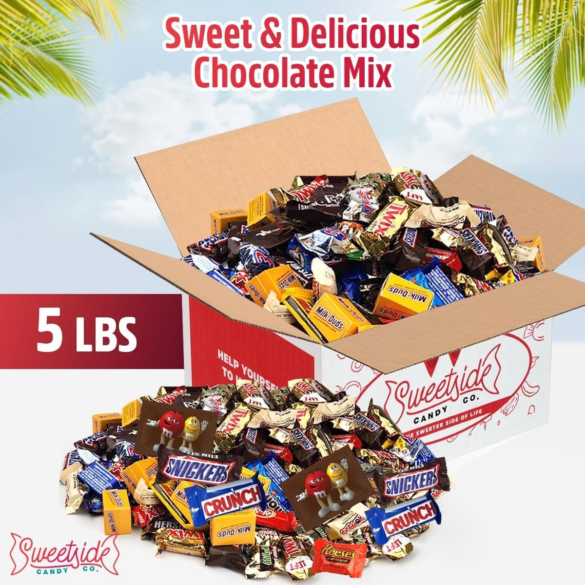 Assorted 5 LB Chocolate Candy Mix, Includes Snickers, Twix & More - Share Joy!