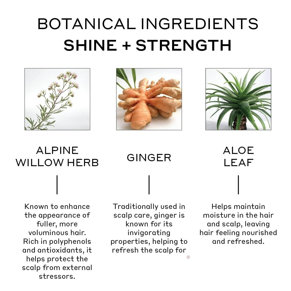 Evolve Hair Repair Shampoo - 8oz Aloe Vera Treatment for Resilient Hair