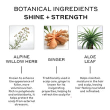 Load image into Gallery viewer, Evolve Hair Repair Shampoo - 8oz Aloe Vera Treatment for Resilient Hair