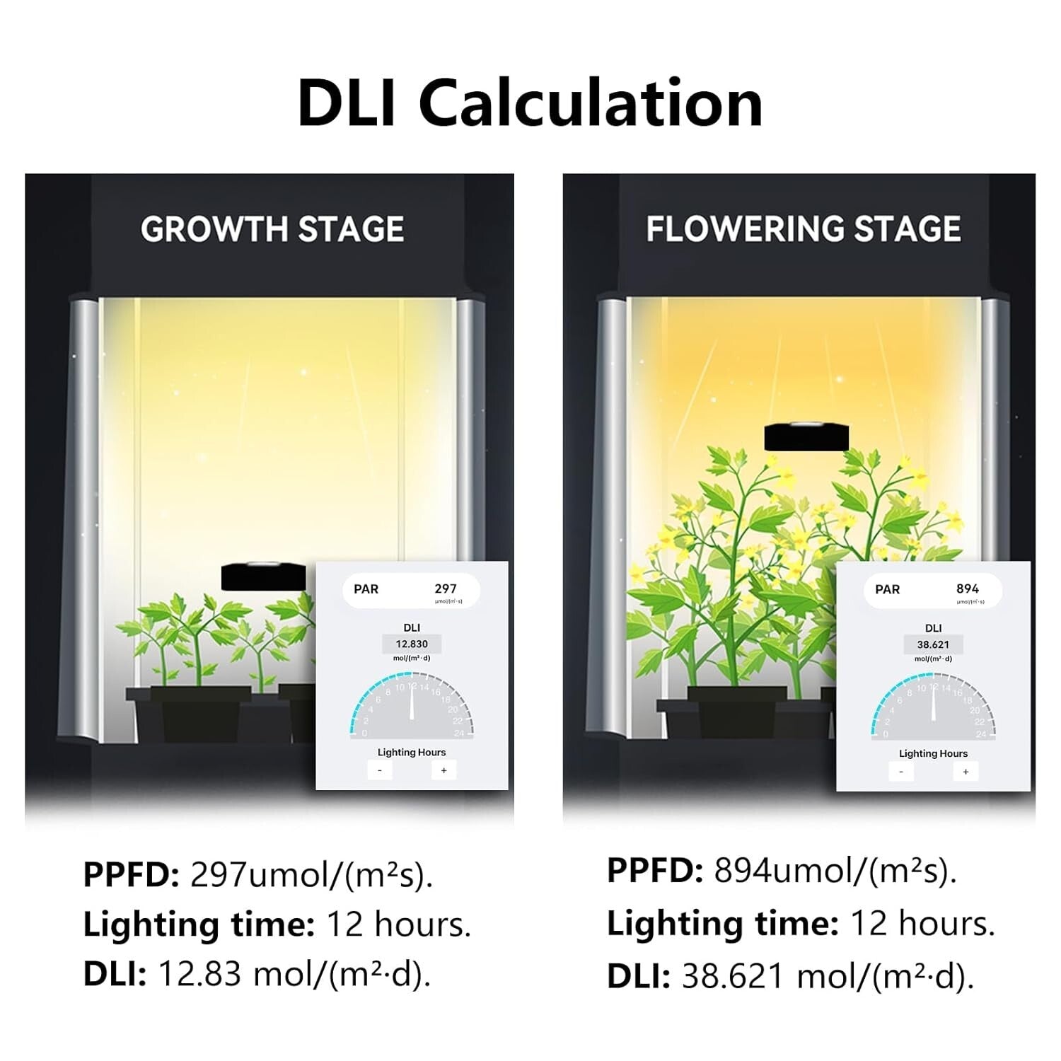Battery-Powered Quantum PAR Meter - Optimize Plant Growth with Red & Blue PPFD