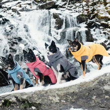 Load image into Gallery viewer, Adjustable Bilberry Dog Coat - 18-Inch Winter Jacket with Reflective Piping
