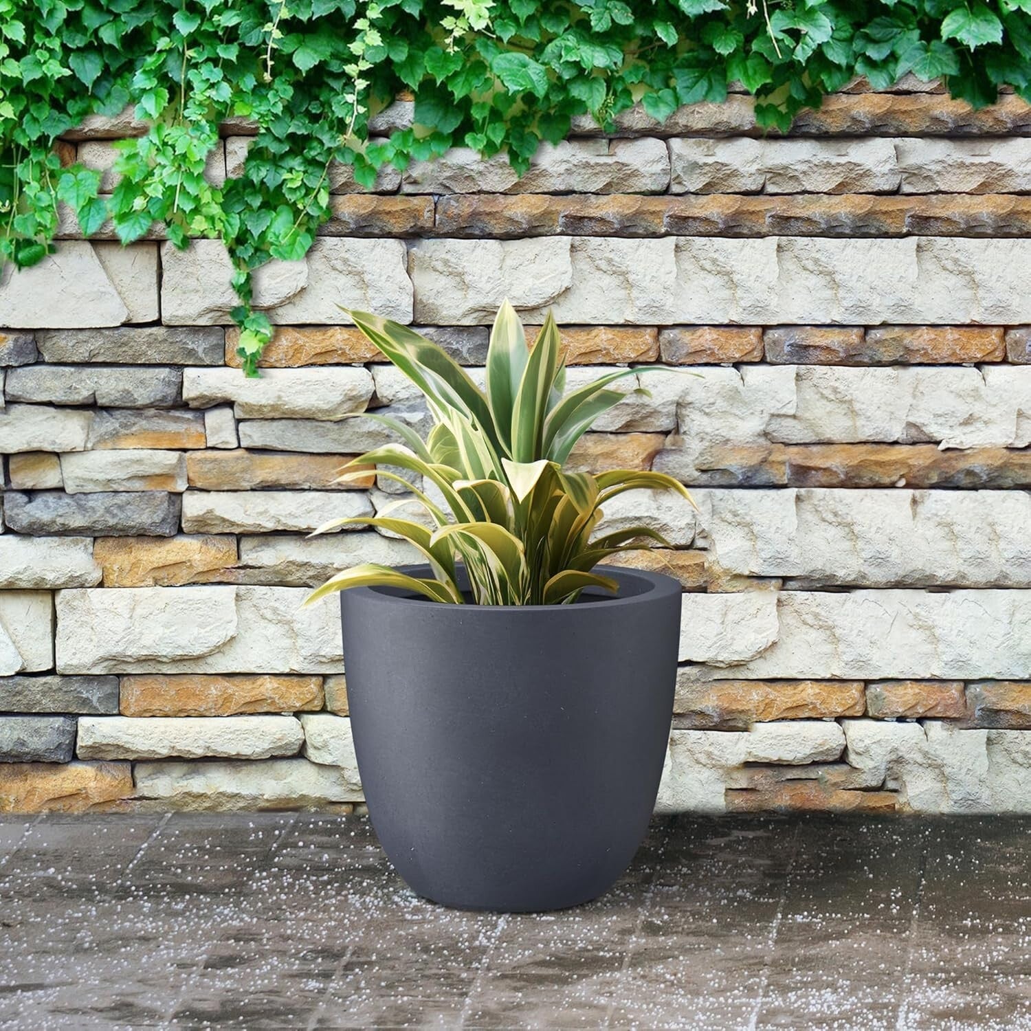 Elegant 14" Diameter Concrete Planter with Rubber Plug - Perfect for Every Space