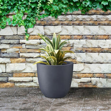 Load image into Gallery viewer, Elegant 14" Diameter Concrete Planter with Rubber Plug - Perfect for Every Space