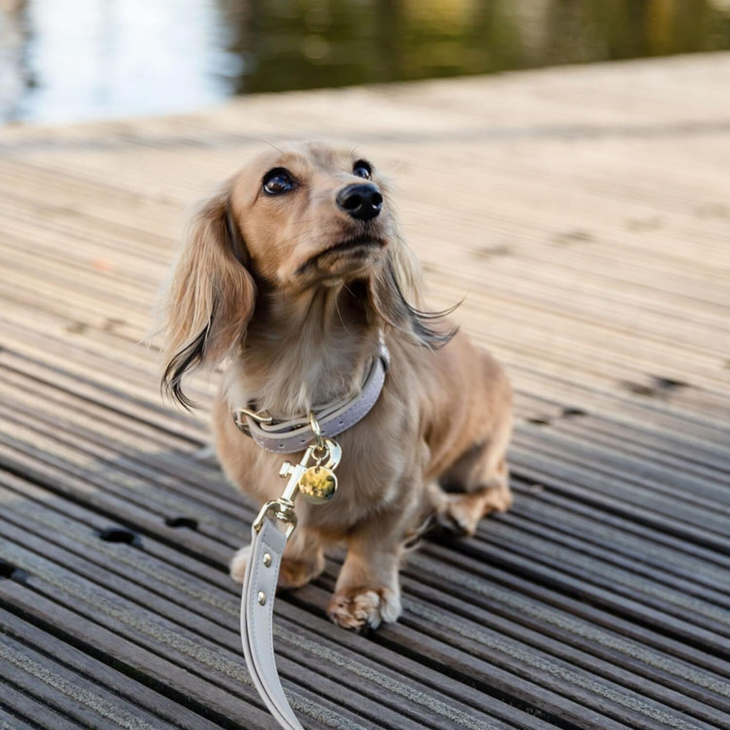 4ft Padded Milan Dog Leash - Stylish Vegan Leather Lead for Medium & Large Dogs