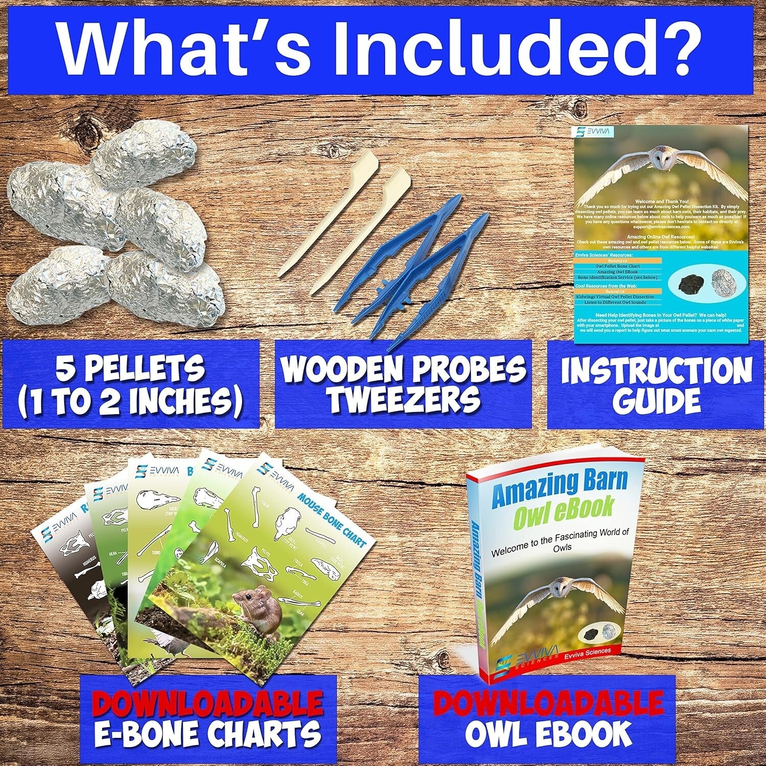 Educational Owl Pellet Dissection Kit with Variety of Sizes - Ideal for Ages 15+