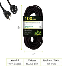Load image into Gallery viewer, Moisture Resistant 100ft Black Extension Cord - 13A, 125V for Outdoor Tools