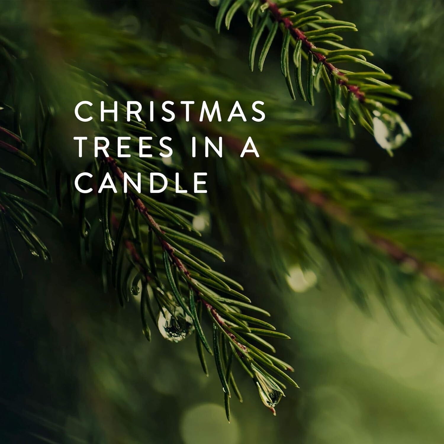 Frasier Fir Reed Diffuser Set - Elegant Green Glass with Long-Lasting Aroma