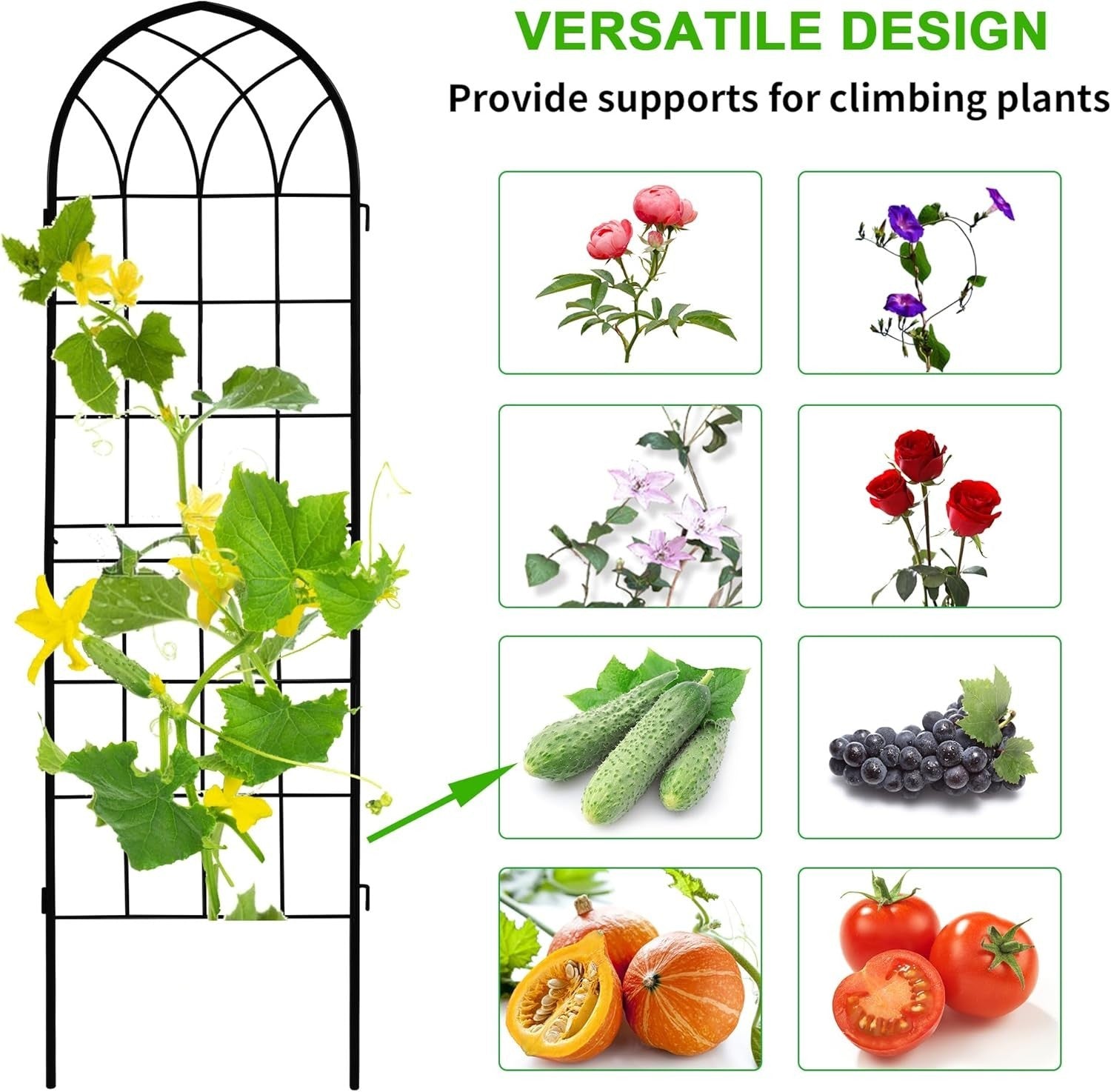 Elegant Rust-Proof Iron Arch - 71x20in Trellis for Outdoor Climbing Plants