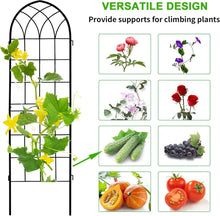 Load image into Gallery viewer, Elegant Rust-Proof Iron Arch - 71x20in Trellis for Outdoor Climbing Plants