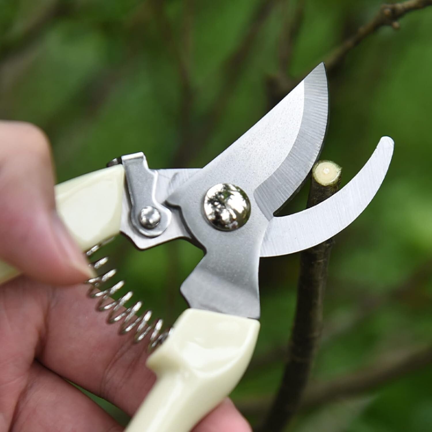 20-Piece Stainless Steel Pruning Shears Set with Ergonomic Grip for Gardeners