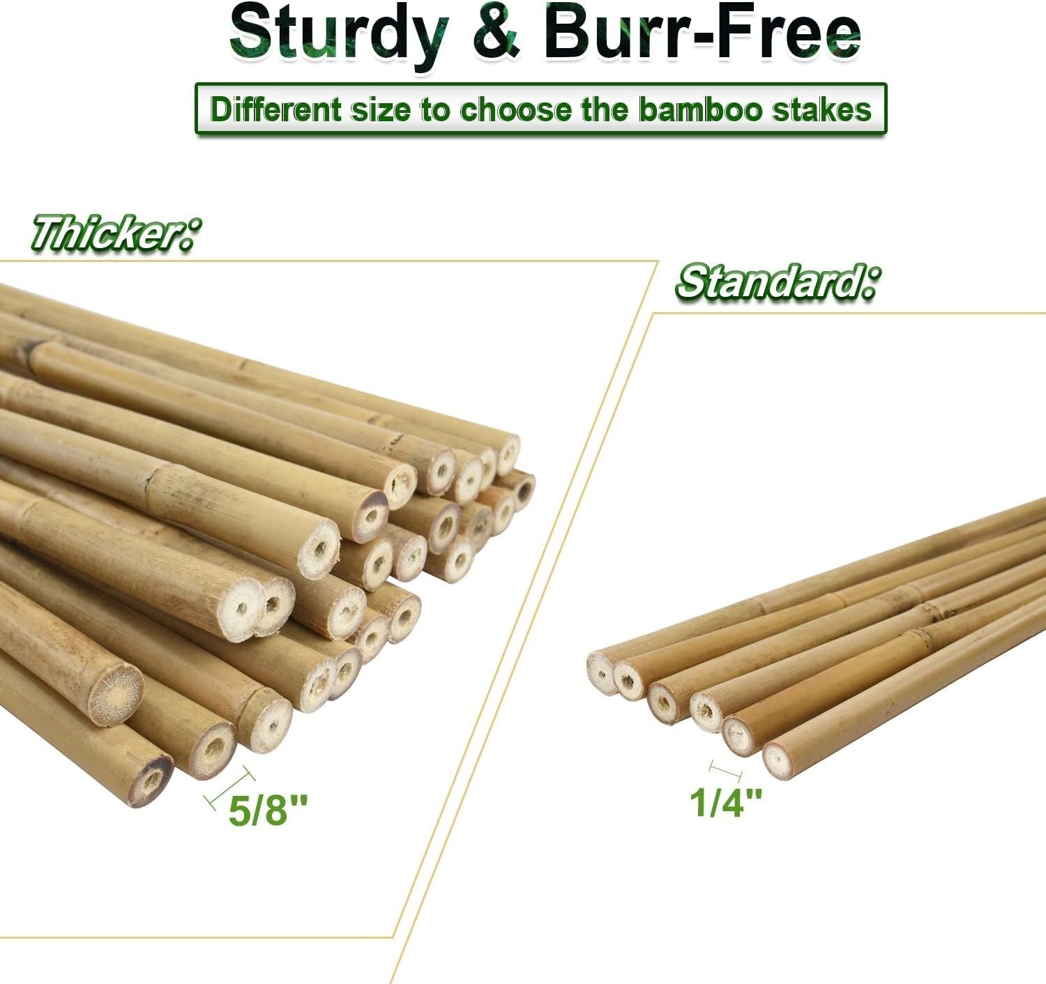 Versatile 20-Pack 6FT Bamboo Stakes for Strong Support & Garden Organization