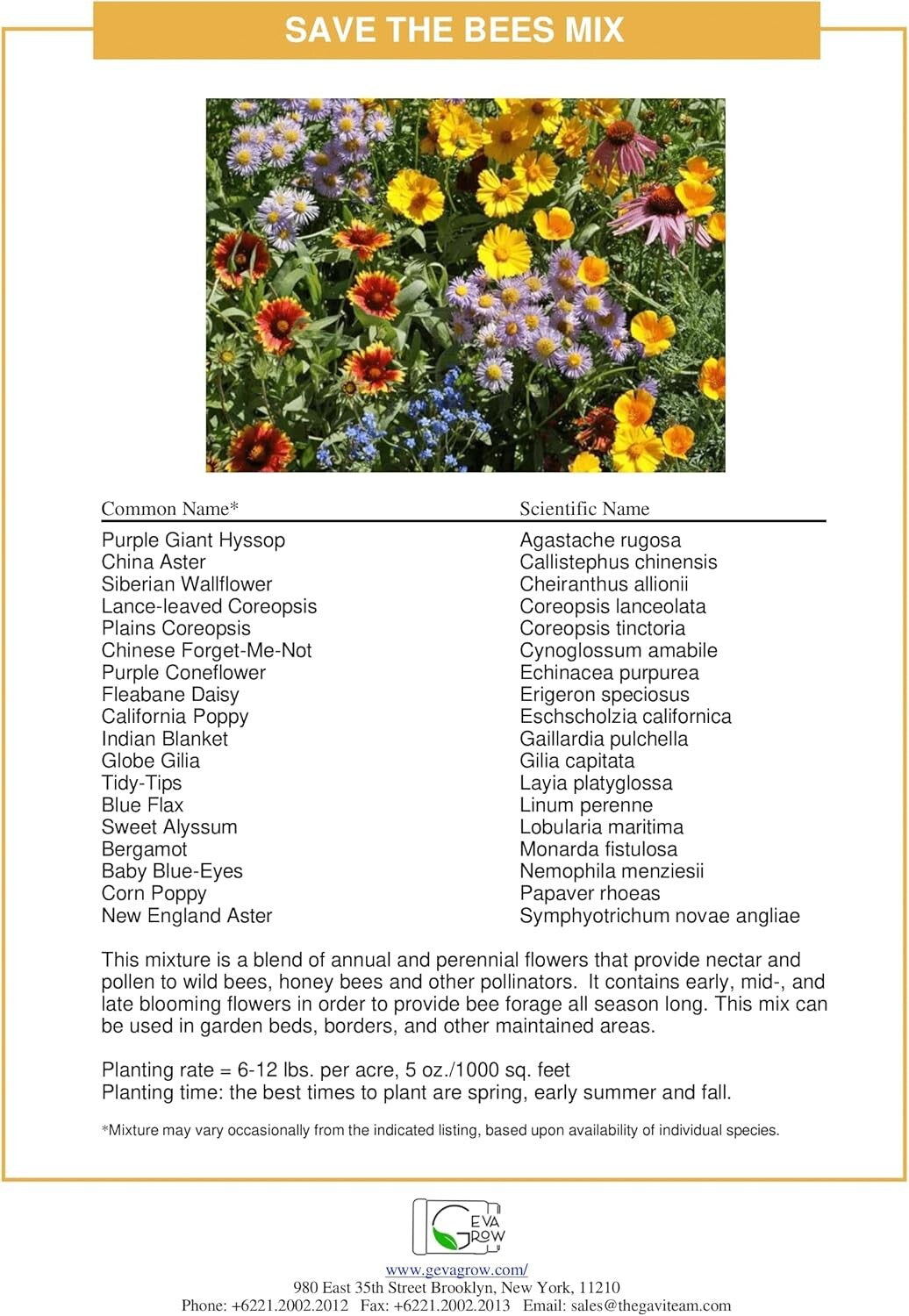 1LB Wildflower Seed Mix Tub - Attract Pollinators with 300,000+ Easy-Grow Seeds