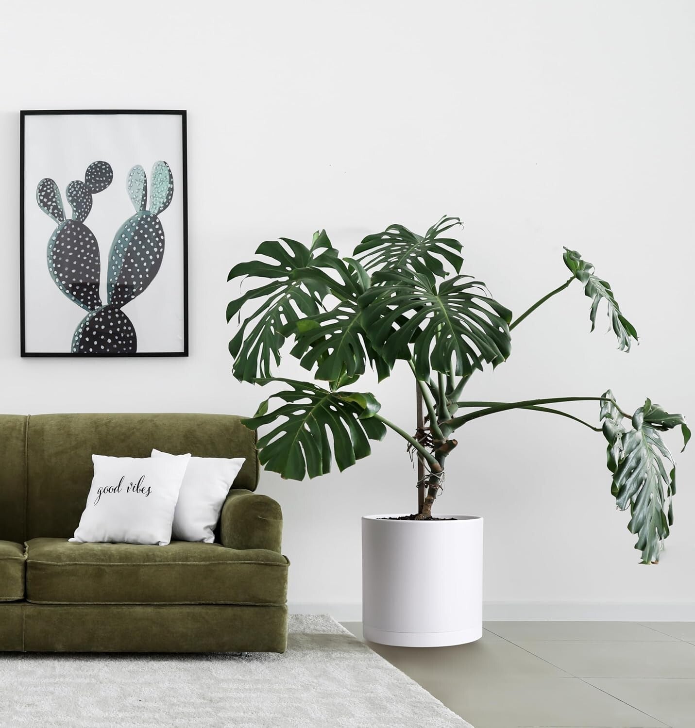 Elegant 14 Inch Cylindrical Plastic Planters with Drainage Holes & Saucer Set