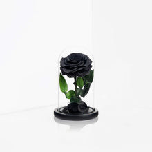 Load image into Gallery viewer, Elegant Black Rose Gift in Silk Box - Lasting Beauty for Mother’s Day &amp; Beyond