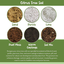 Load image into Gallery viewer, Nutrient-Rich 30 Quart Potting Mix for Potted Citrus Plants - Indoor/Outdoor