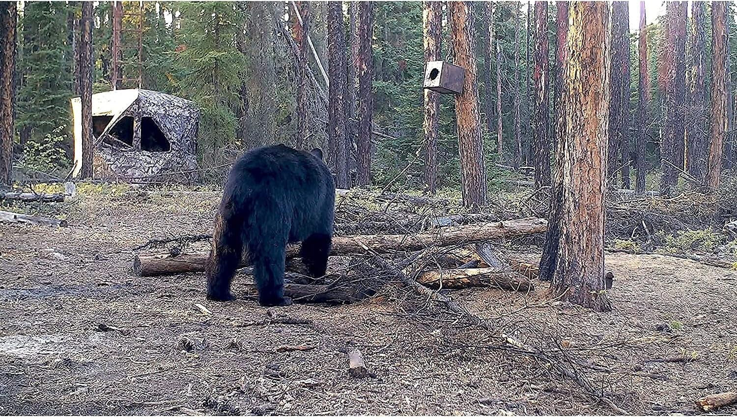 Outdoors 3-Person Heavy-Duty Water Resistant Ground Blind with Shadow Mesh Wi...