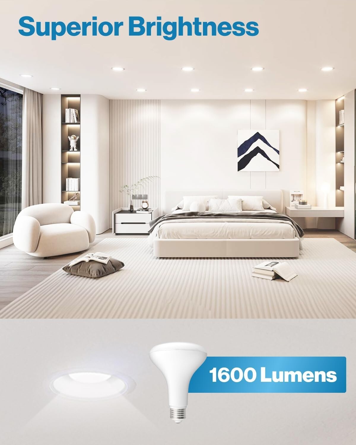 Energy-Efficient LED Bulbs - 12 BR30 Dimmable Flood Lights, Instant Brightness