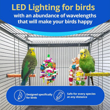 Load image into Gallery viewer, Veterinary Approved Bird Cage Light - Simulates Natural Light for Healthier Pets