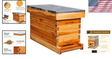 Load image into Gallery viewer, Nuc Beehive Kit with Waterproof Roof &amp; Ventilated Inner Boards for Healthy Bees