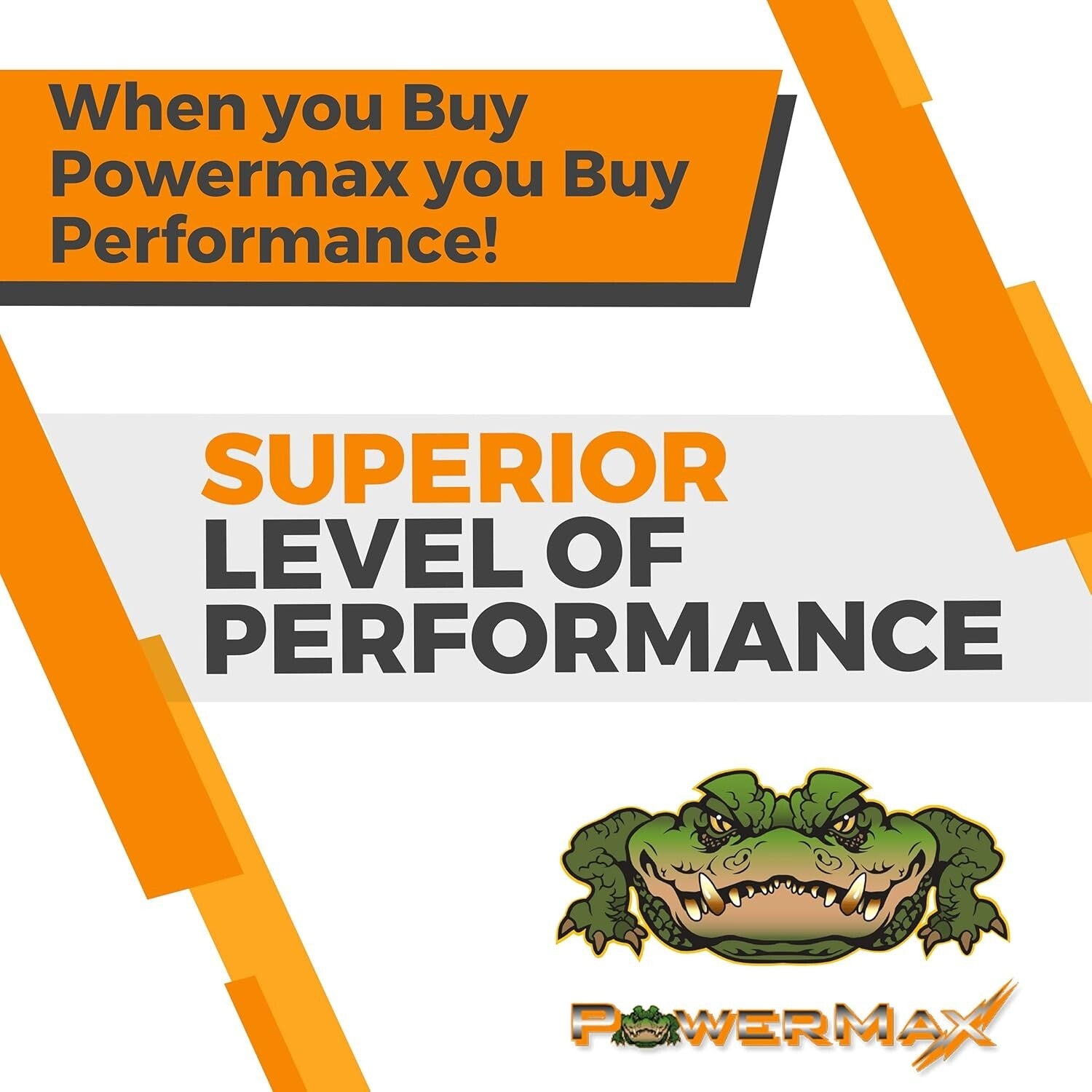 Adjustable 100 Amp 12V Power Supply & Charger for RVs, Boats, and Off-Grid Needs