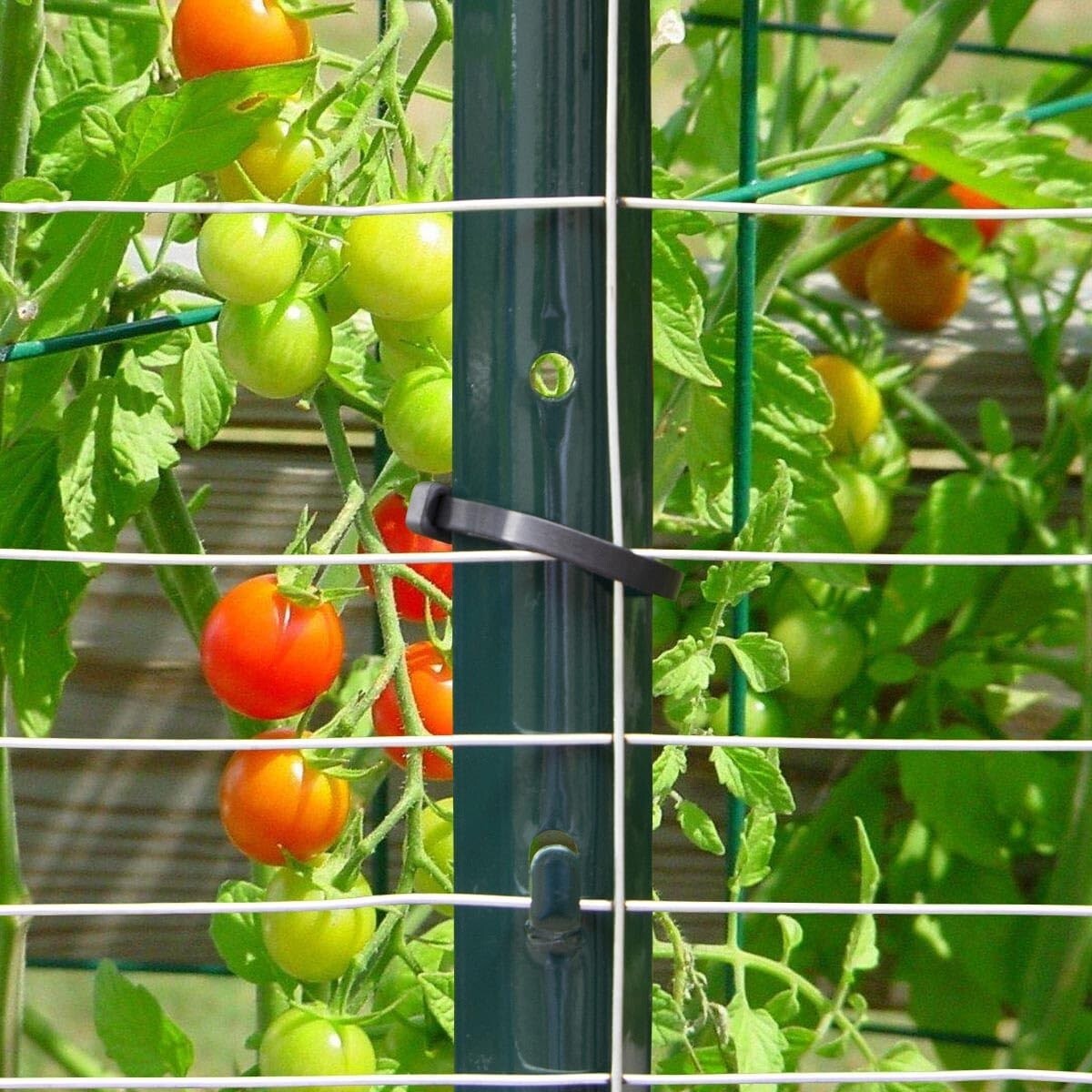 Durable 3-Foot Powder Coated Green Steel Fence Post - 10 Pack for Garden Fencing