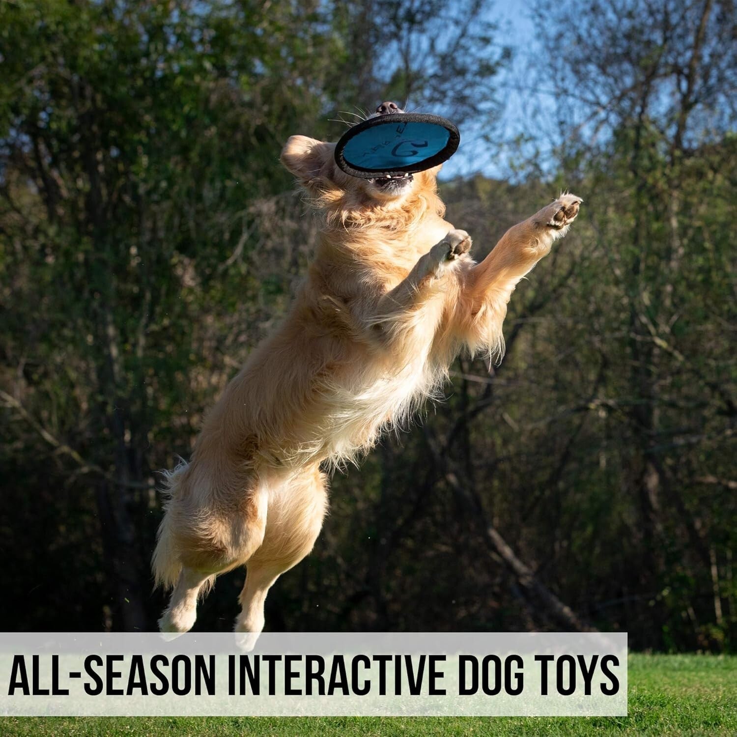 Colorful 9-Inch Soft Dog Discs - Floating Fetch Toy, Pack of 5 for All Breeds