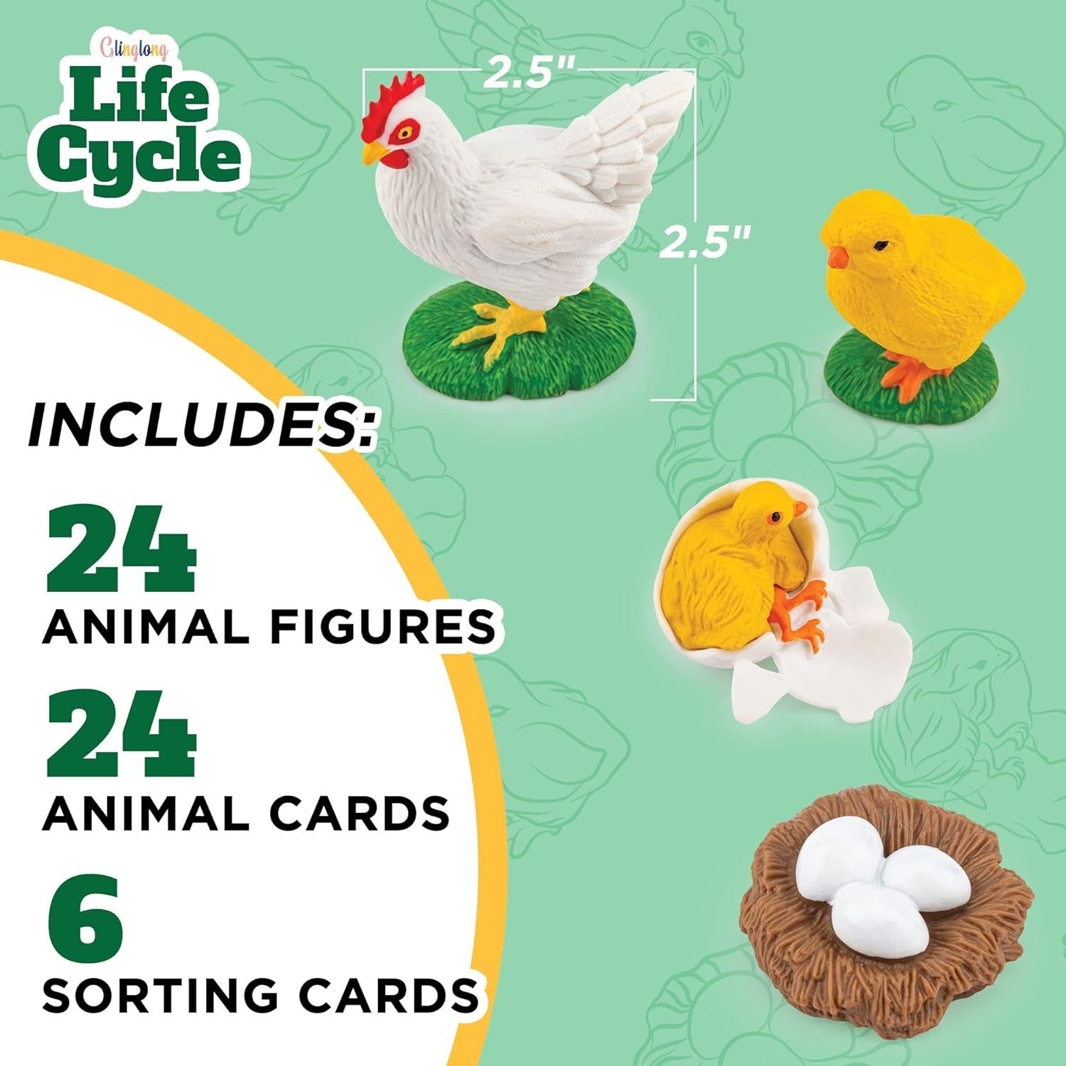 Engaging Montessori Animal Life Cycle Kit – 3D Matching Game for Young Learners