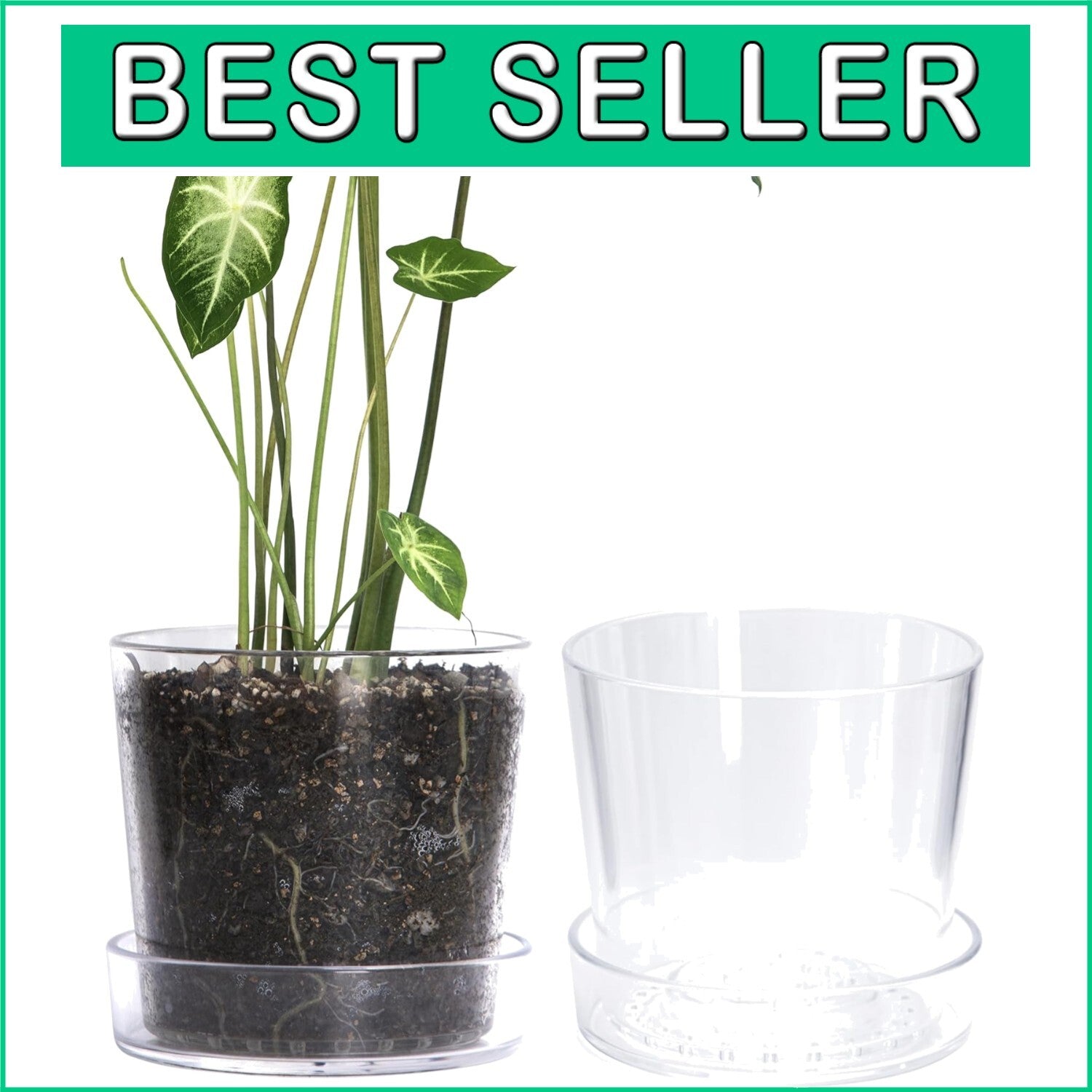 Elegant 8-Inch Clear Planter Pot Set with Deep Saucer – Indoor Herb & Orchid Pot