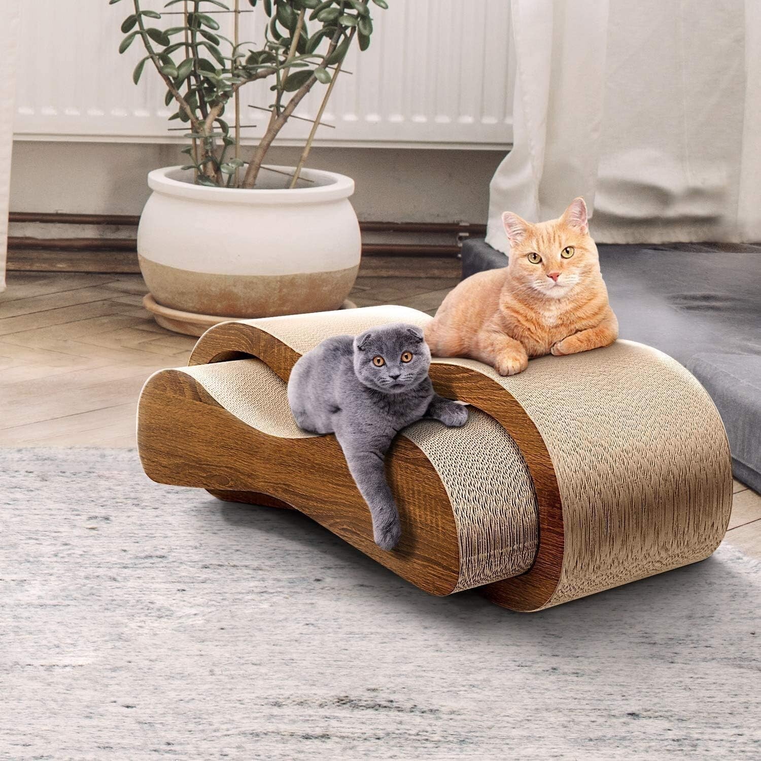 2 in 1 Cat Scratcher Lounge Bed - Durable & Eco-Friendly Cardboard Comfort