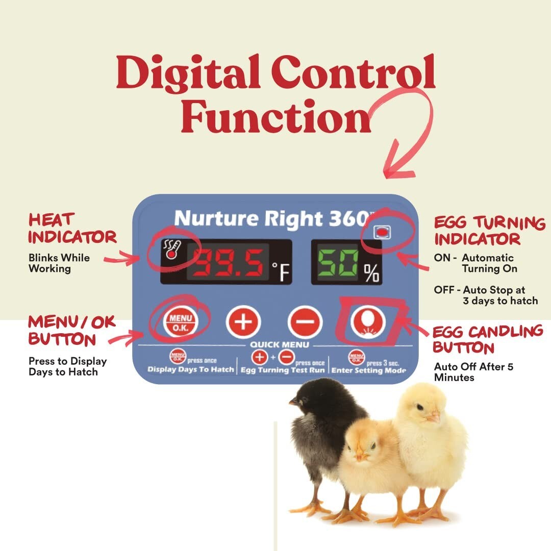 Compact Nurture Right Egg Incubator - 360 Visibility, Perfect for All Poultry