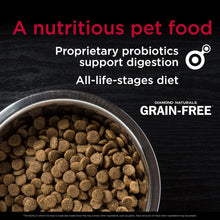 Load image into Gallery viewer, Beef &amp; Sweet Potato Dry Dog Food - Grain Free, Digestive Health Formula 28lb
