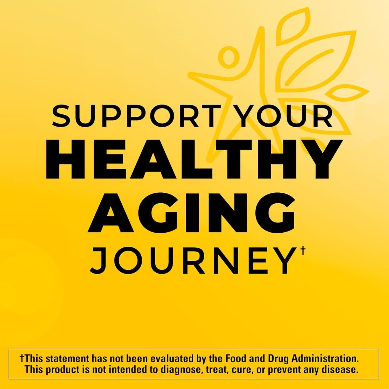 Purified 1000mg Omega-3 Fish Oil Softgels, 320 Count for Brain and Eye Health