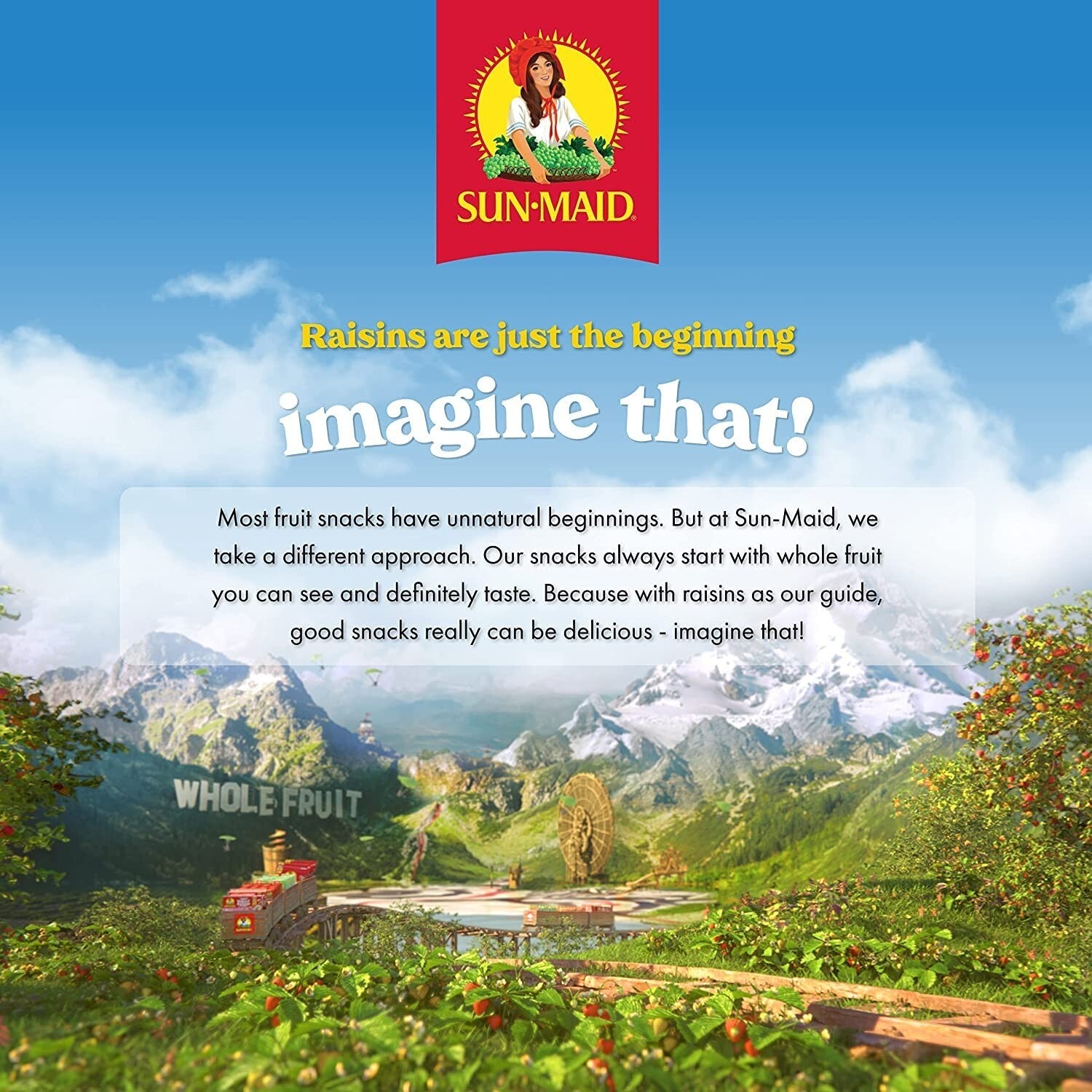 8 oz Resealable Vanilla Yogurt Raisins - Perfect Snack for Lunches and More