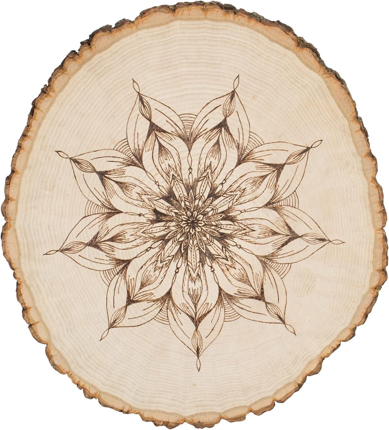 Creative Woodburning Tool with Ergonomic Handle and Temperature Control - 600°F