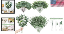 Load image into Gallery viewer, Versatile 180 Bulk Eucalyptus Leaves Bundle for Stunning Floral Arrangements