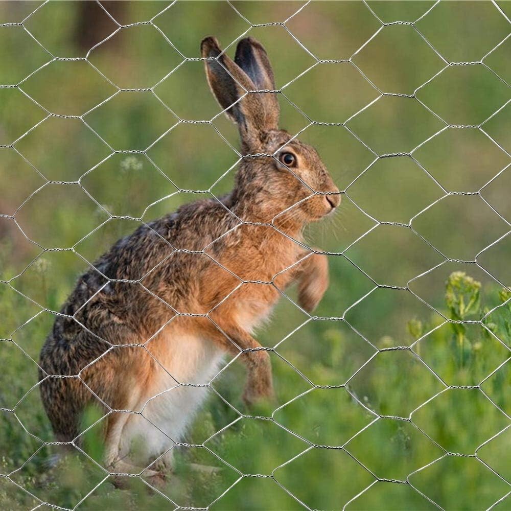 Durable 20GA Galvanized Chicken Wire 60" x 150' - Ideal for Livestock Enclosures