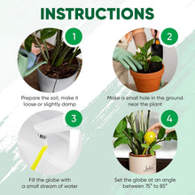 Load image into Gallery viewer, Multicolored 6-Pack of Automatic Plant Watering Globes – 200 ml Each for 7 Days