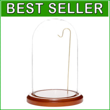 Load image into Gallery viewer, Versatile 4" x 7" Ornament Display Dome with Walnut Base for Home or Office