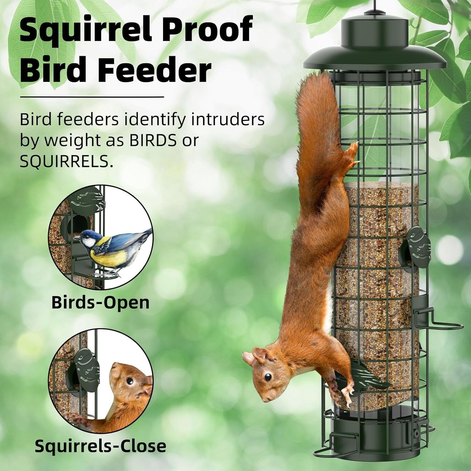 Garden Essential: Squirrel Proof Bird Feeder for Finch, Cardinal & Chickadee