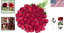 Load image into Gallery viewer, 50PCS Velvet Artificial Roses - Realistic Long Stem Faux Flowers for Weddings