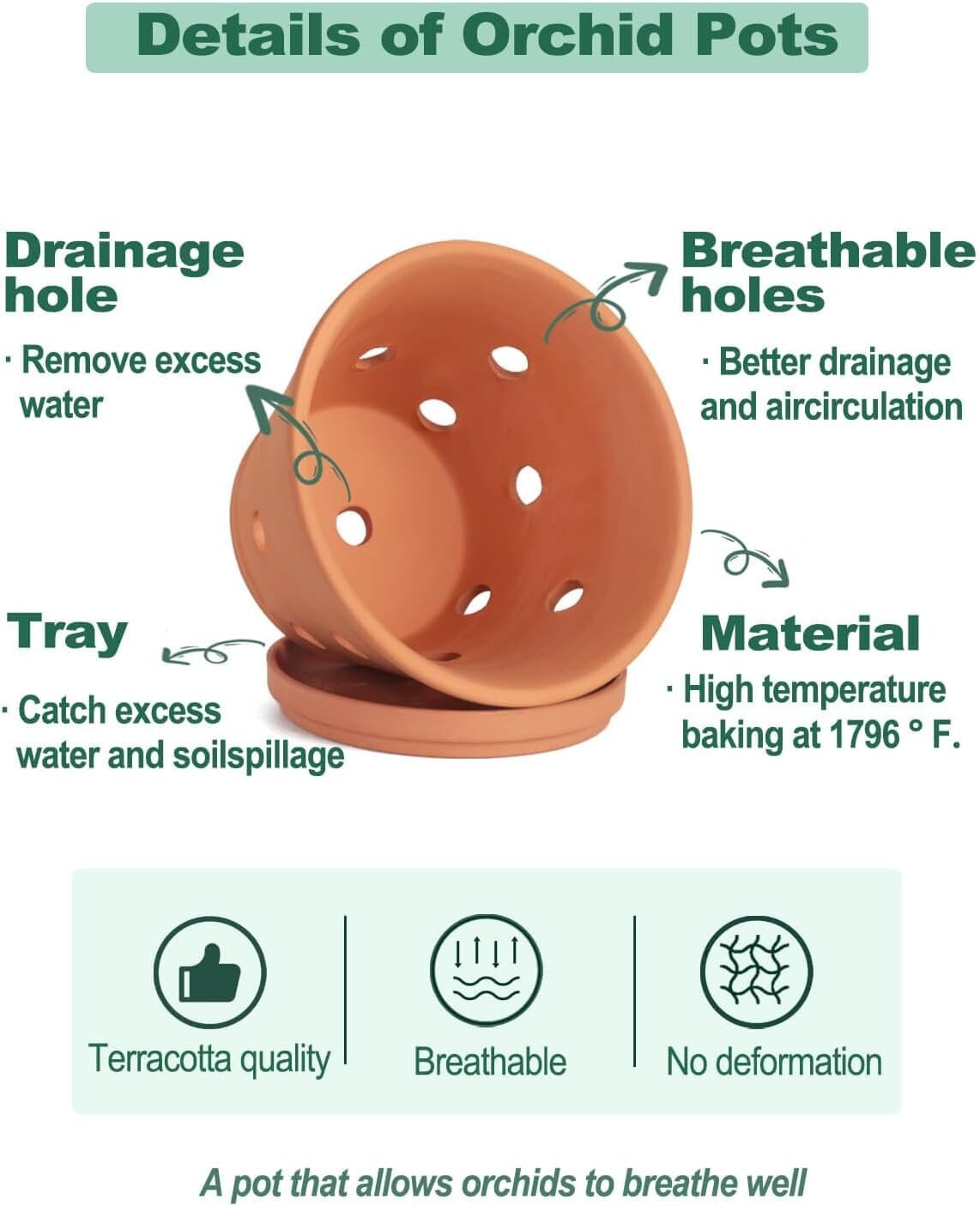 Classic 8-Inch Terracotta Plant Pots with Breathing Holes – Perfect for Orchids