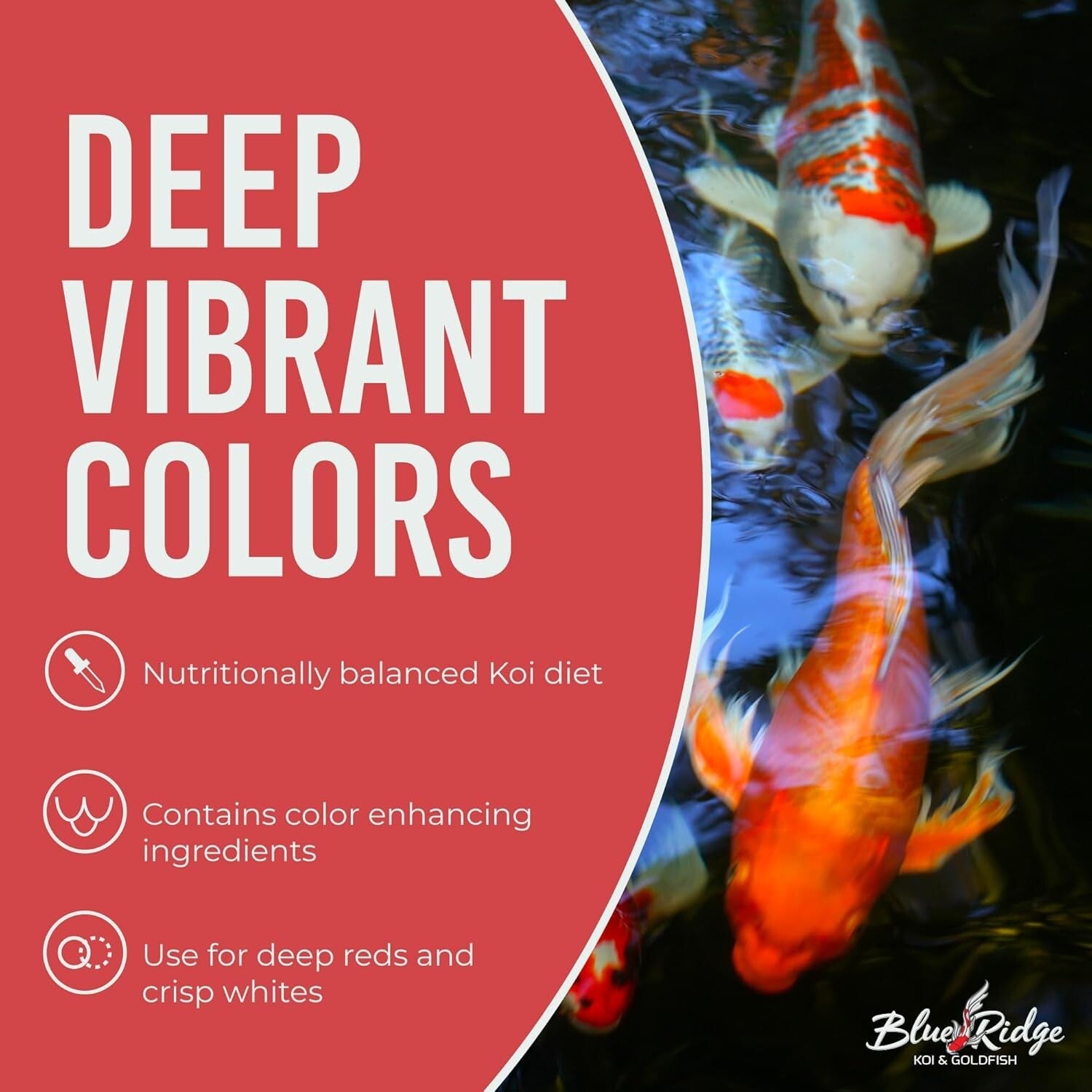 Blue Ridge Koi Food 4.5lbs - Proven Color Enhancer & Easy Digestible Pellets