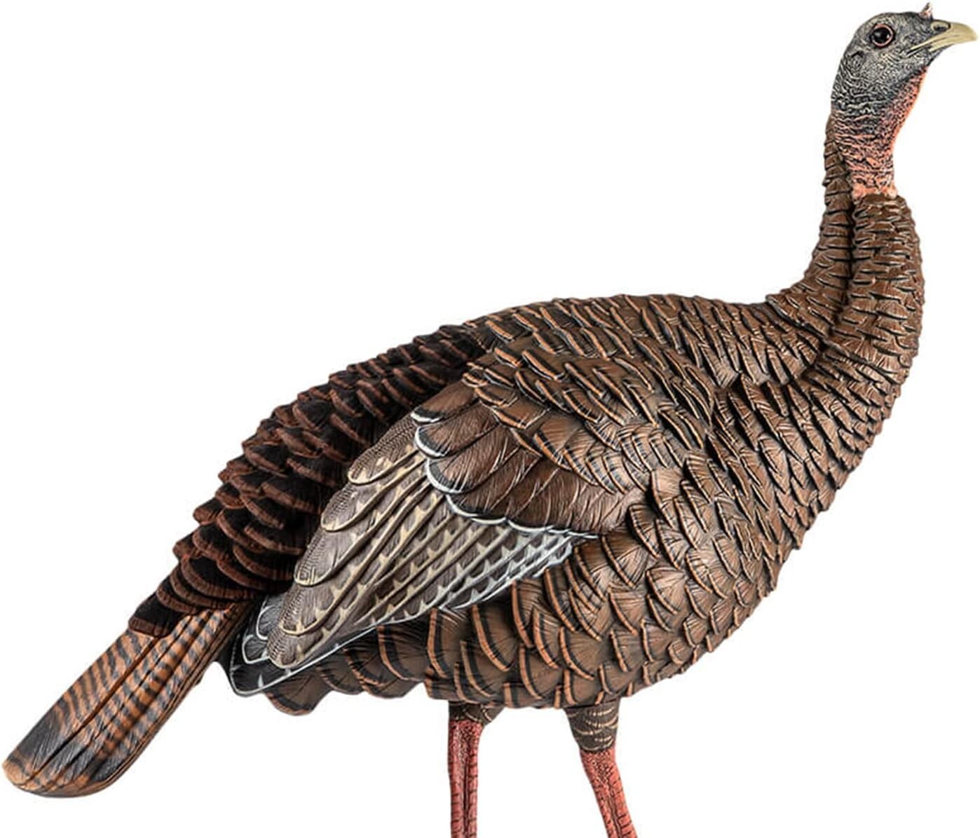 Authentic HDR Hen Turkey Decoy - Detailed, Durable & Portable for Hunters
